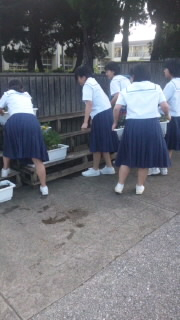 朝のボランティア