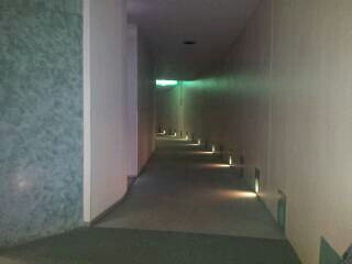 修学旅行21(
 ２日目の就寝)