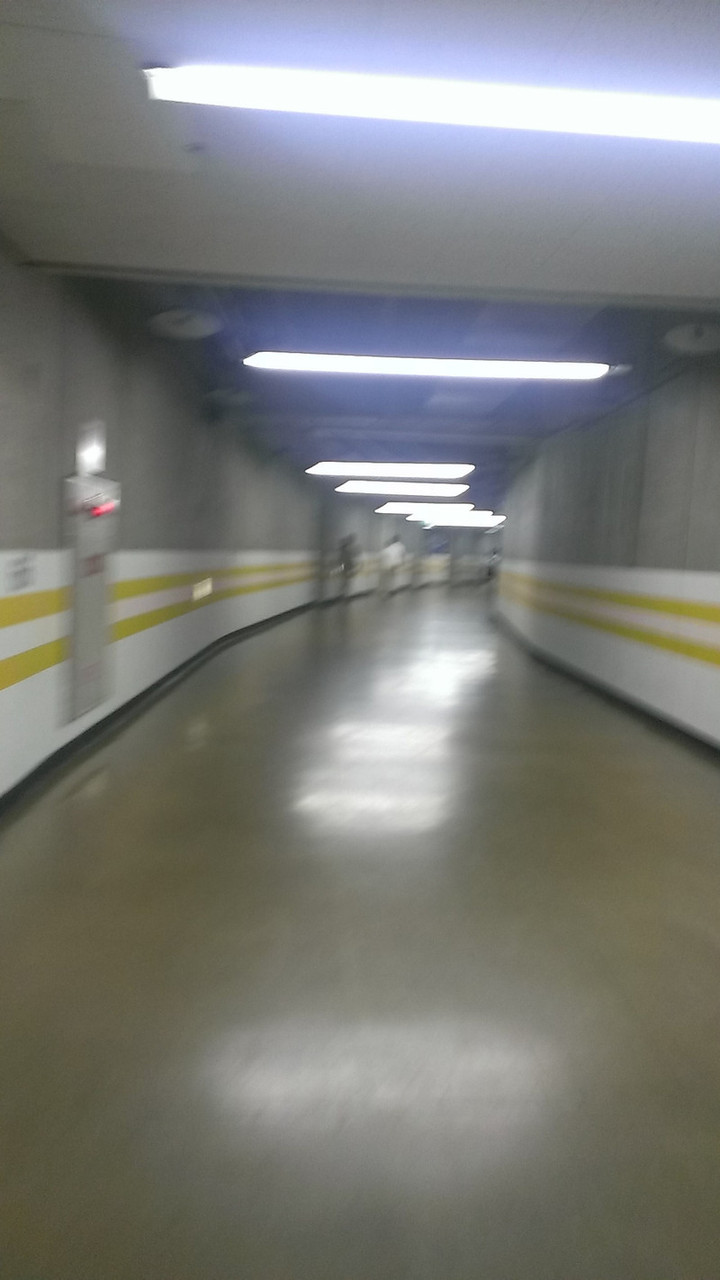 午後の活動 開始