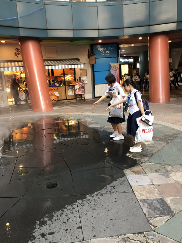 C818e8f2396a4e3c858973de514b62dd