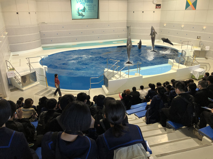 1621350b5a1b4248830f933f1fbed319