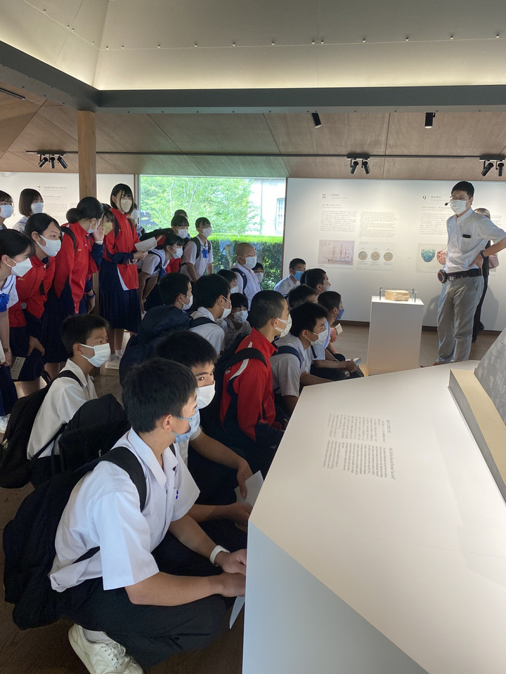 1d7aa9d922784173976699651701e31b