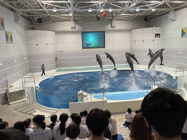 235ac674a8af4b7a9c5a6867136a0fca