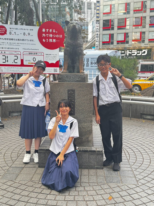 9aa204fb366e4977ac5f12c189ef5c3e_2